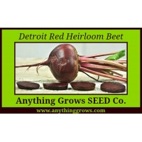 Beet - Detroit Red Heirloom - Organic